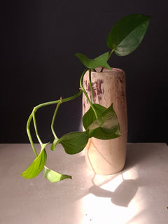 Rubble Vase I, Handmade Stoneware Vase, Cream & Rust