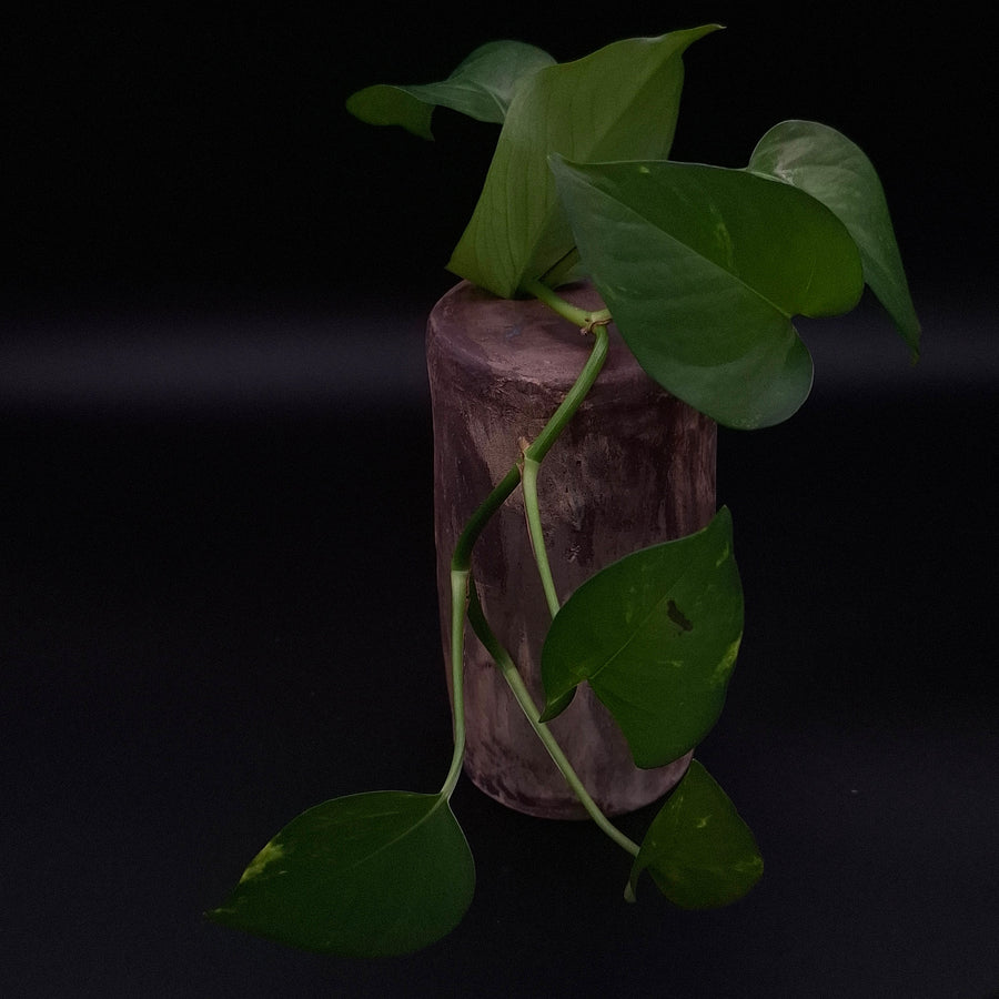 Handmade Rubble Vase III in anthracite stoneware with a burnished mineral surface, displayed with a trailing green plant against a dark background.