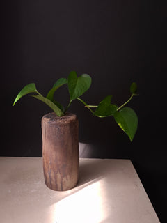 Rubble Vase II in anthracite stoneware holding a green plant, photographed against a dark background with natural light falling across the vessel.